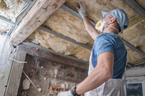 Types of Insulation We Offer in Henderson, NV